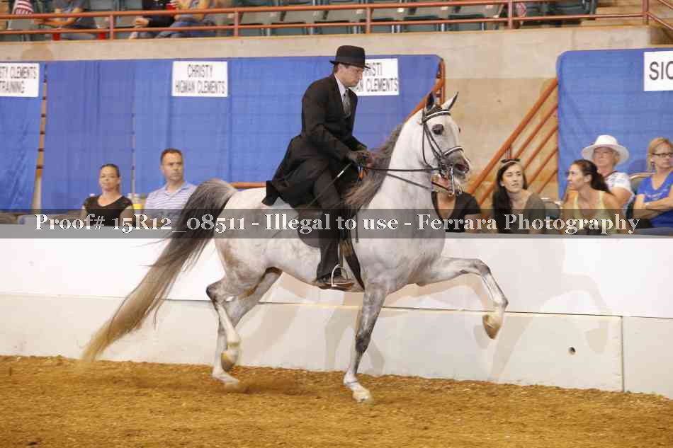 Proof 15R12_08511