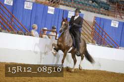 15R12_08516 proof