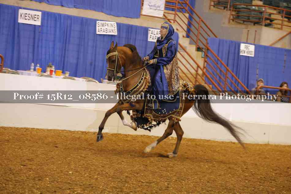 Proof 15R12_08586
