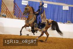 15R12_08587 proof