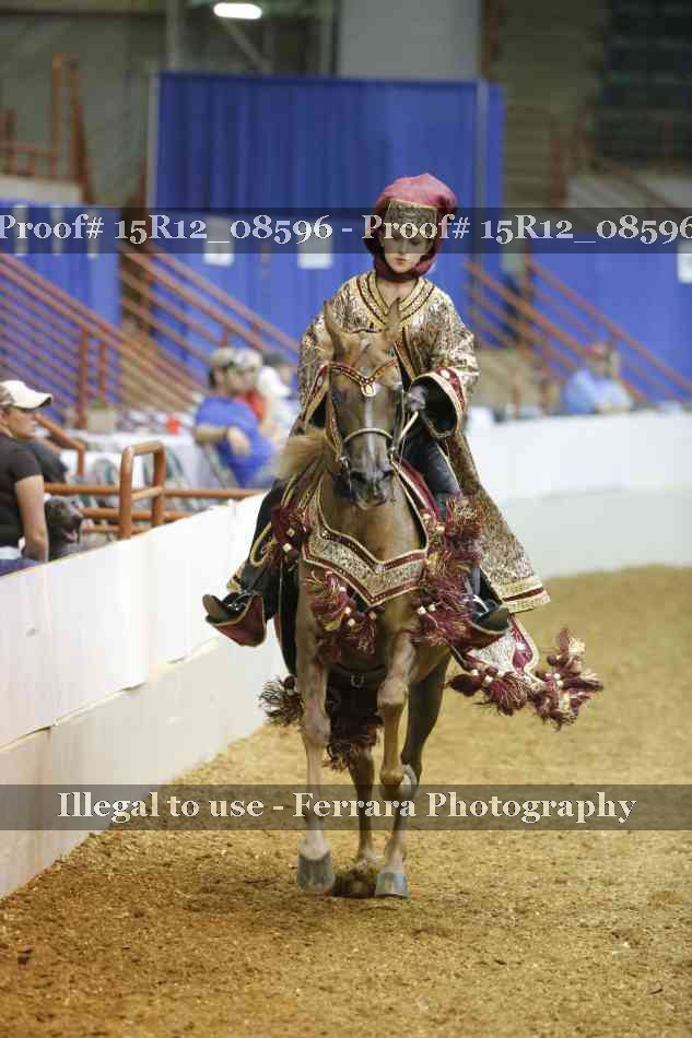 Proof 15R12_08596