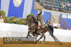 15R12_08604 proof