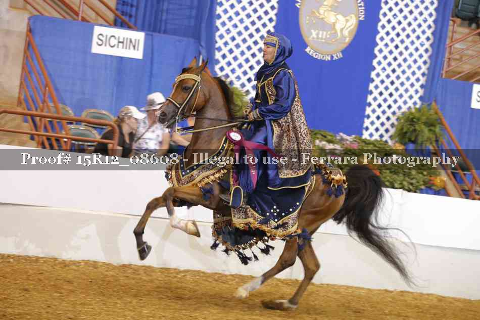 Proof 15R12_08608