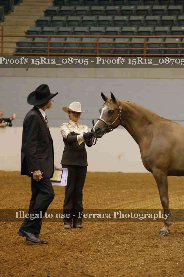 Proof 15R12_08705