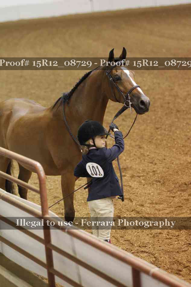 Proof 15R12_08729