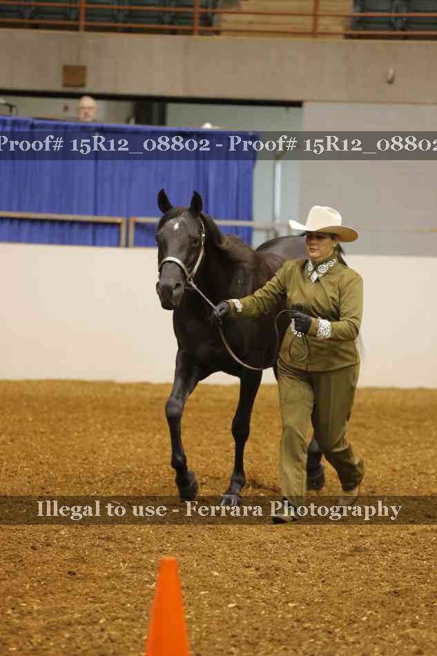 Proof 15R12_08802