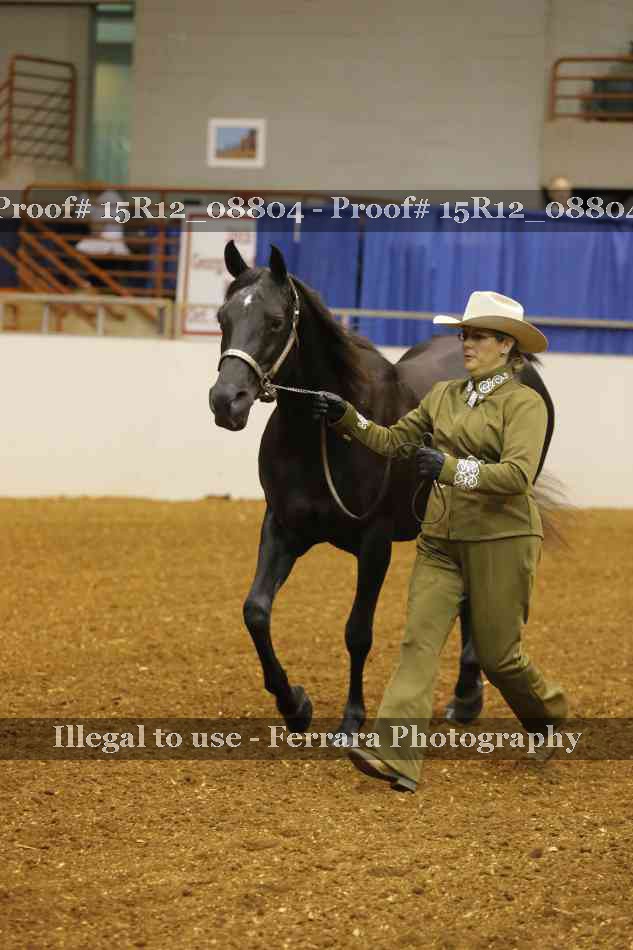 Proof 15R12_08804