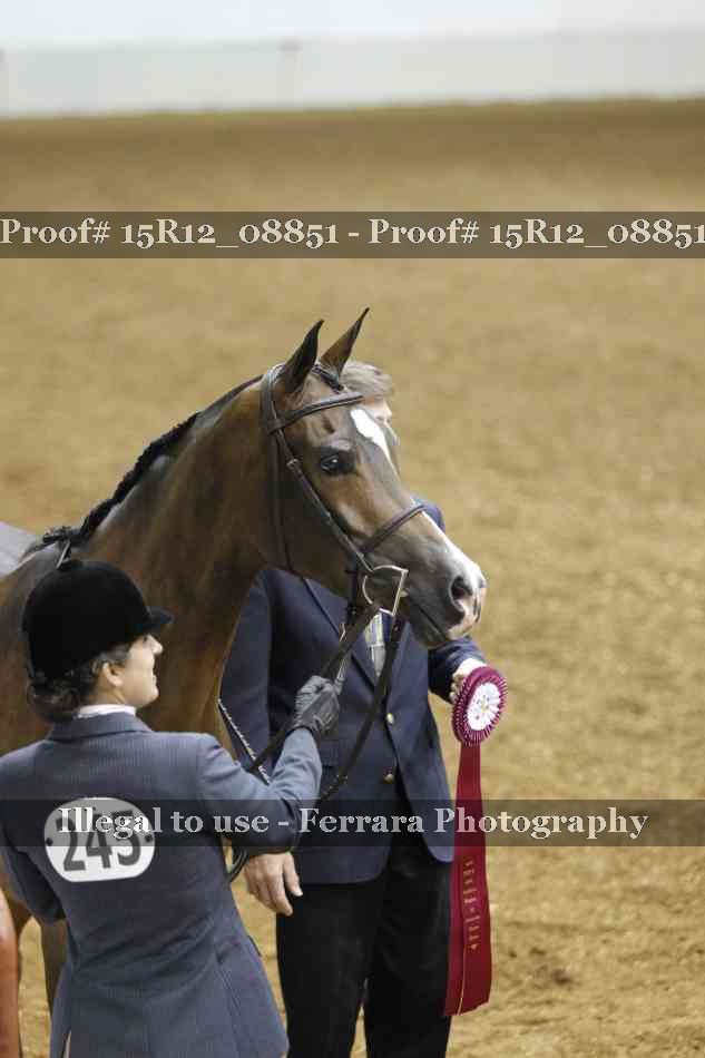 Proof 15R12_08851