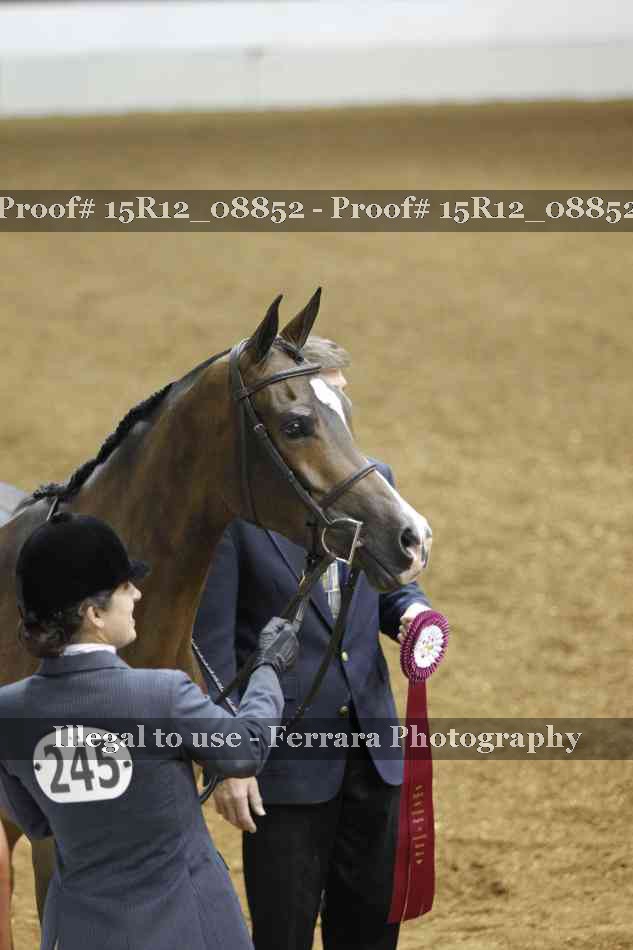 Proof 15R12_08852