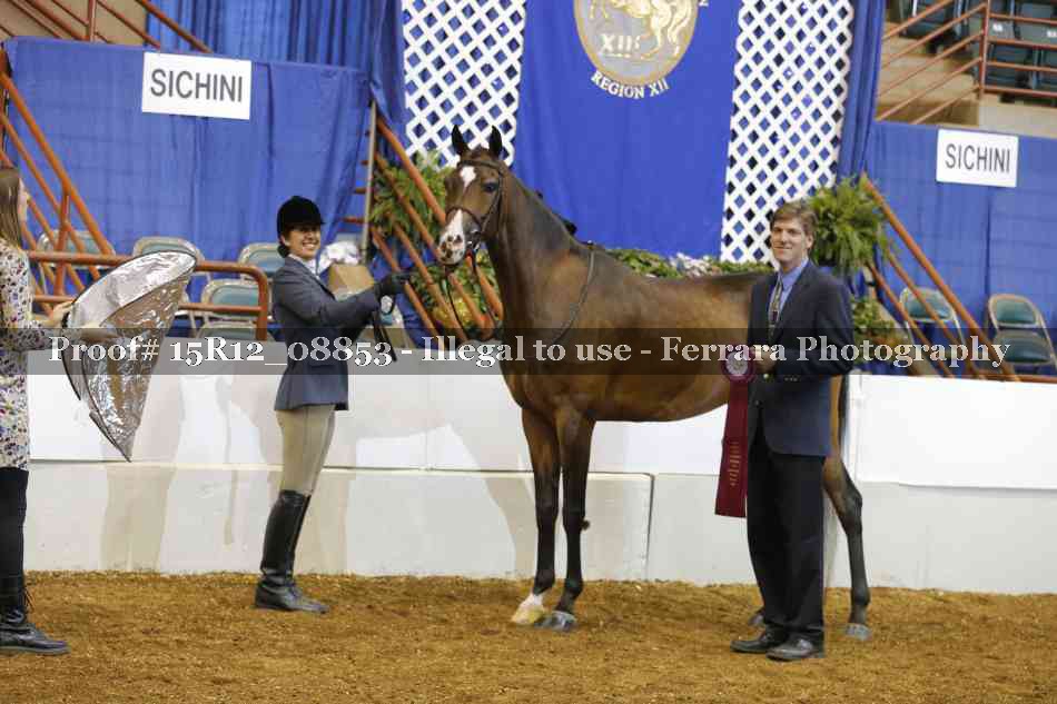 Proof 15R12_08853