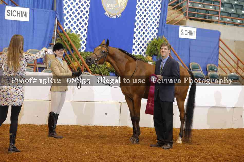 Proof 15R12_08855