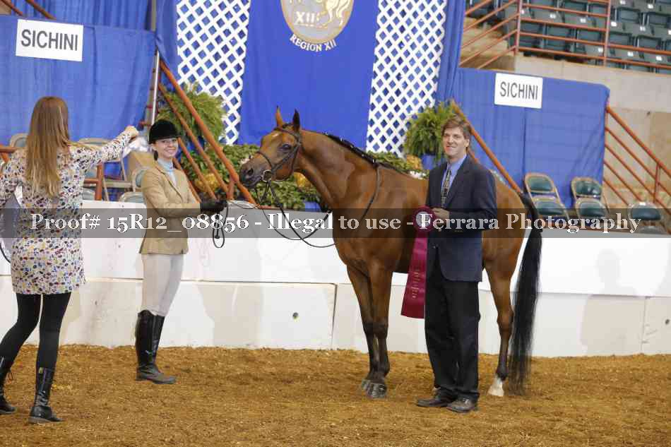 Proof 15R12_08856