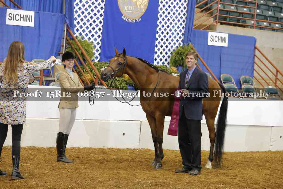 Proof 15R12_08857