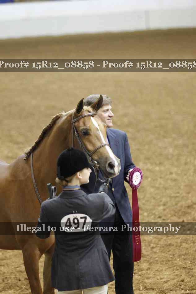 Proof 15R12_08858