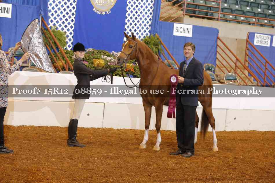 Proof 15R12_08859