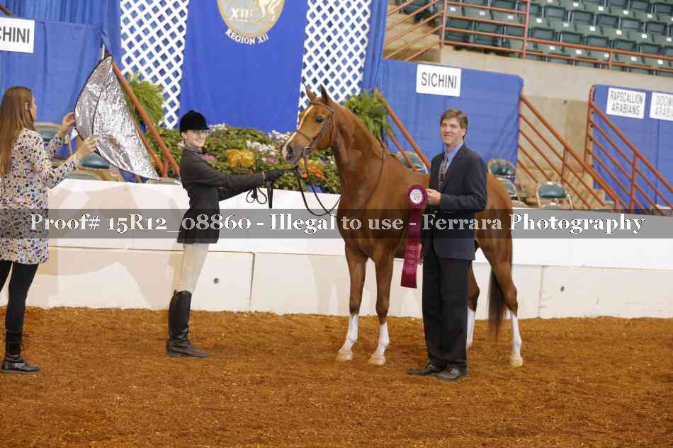 Proof 15R12_08860