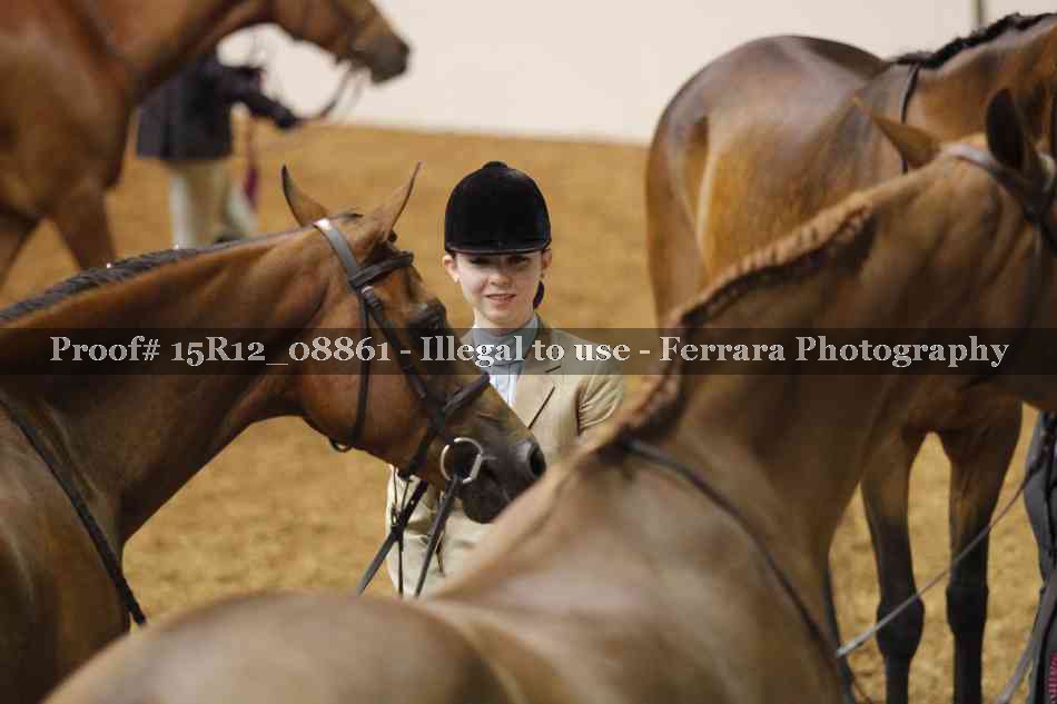 Proof 15R12_08861