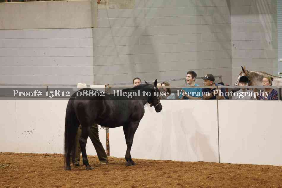 Proof 15R12_08862