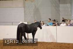 15R12_08862 proof