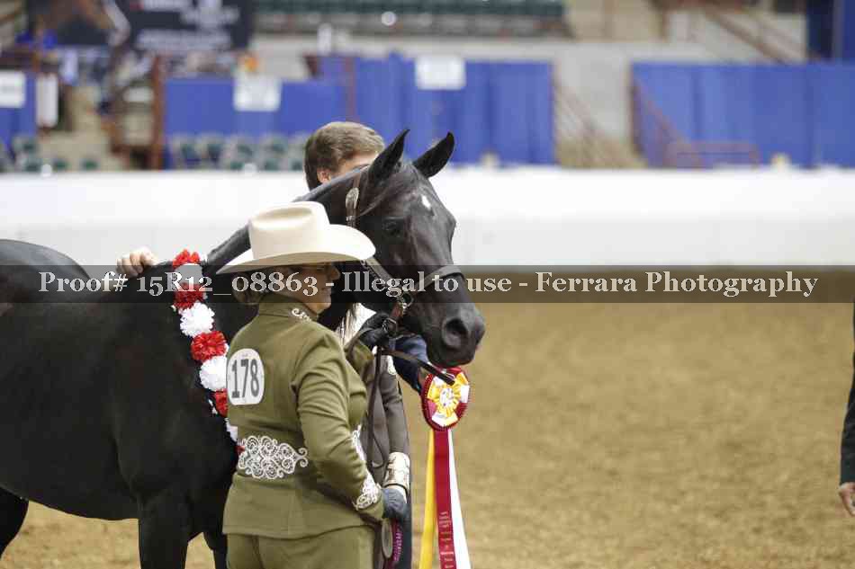 Proof 15R12_08863
