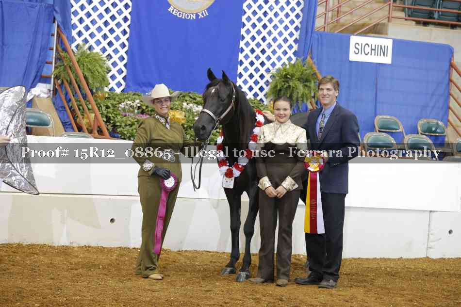 Proof 15R12_08865