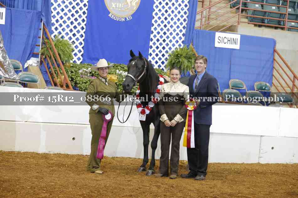 Proof 15R12_08866