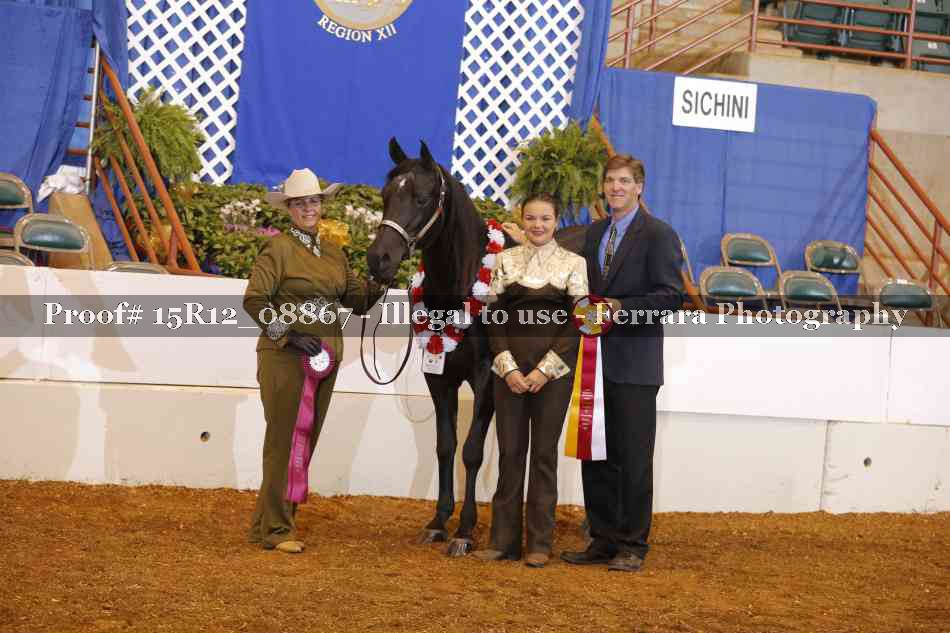 Proof 15R12_08867