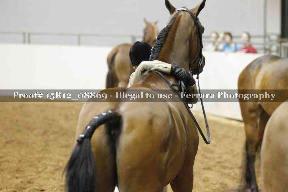 Proof 15R12_08869