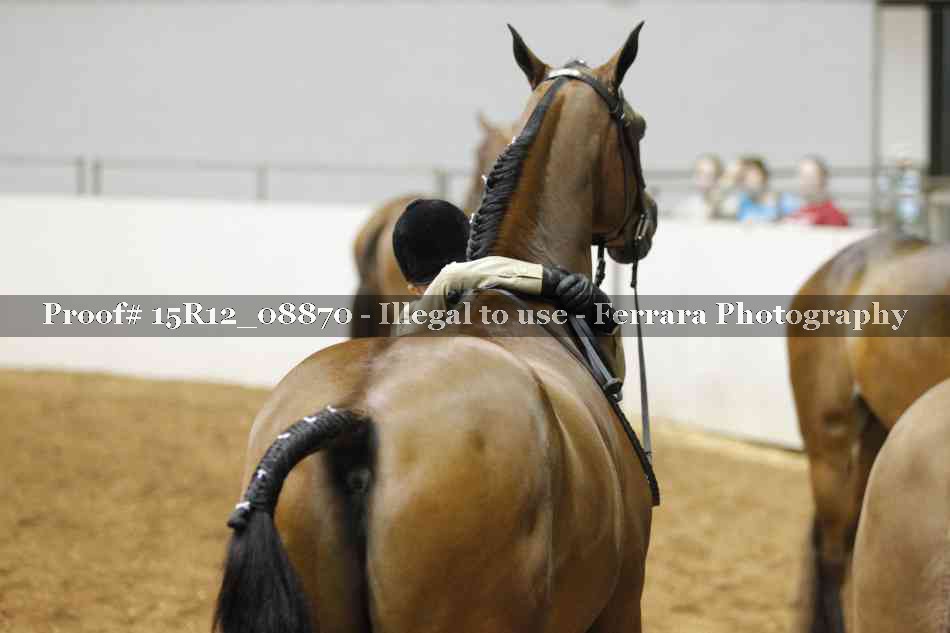 Proof 15R12_08870