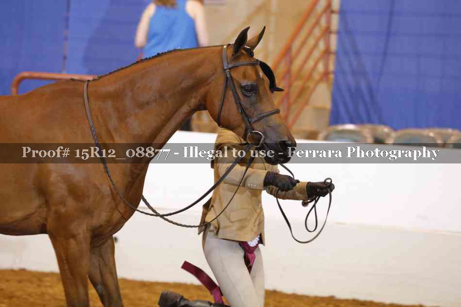Proof 15R12_08877