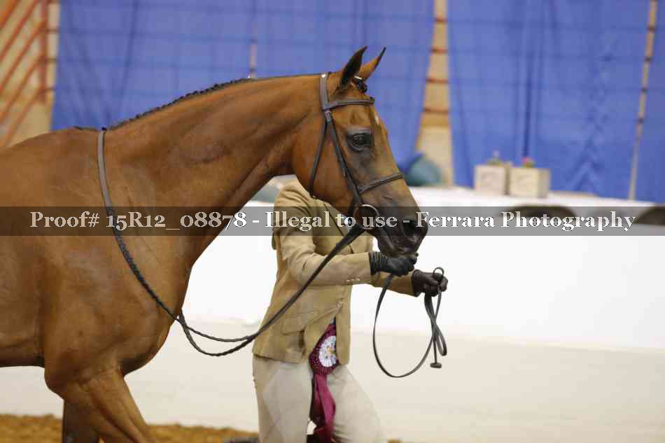 Proof 15R12_08878
