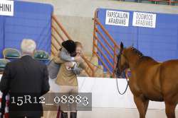 15R12_08883 proof