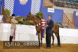 15R12_08888 proof