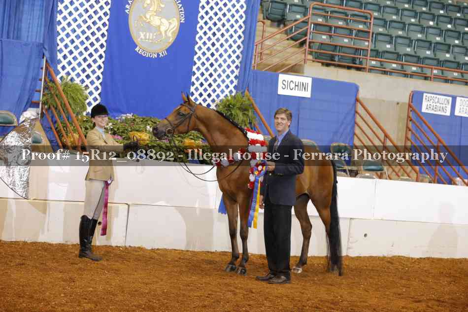 Proof 15R12_08892