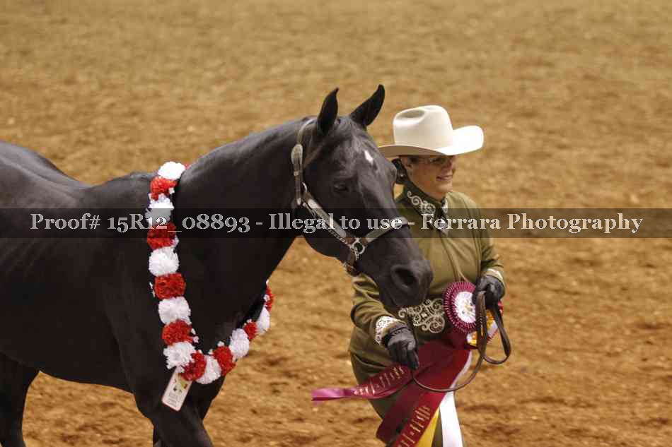 Proof 15R12_08893