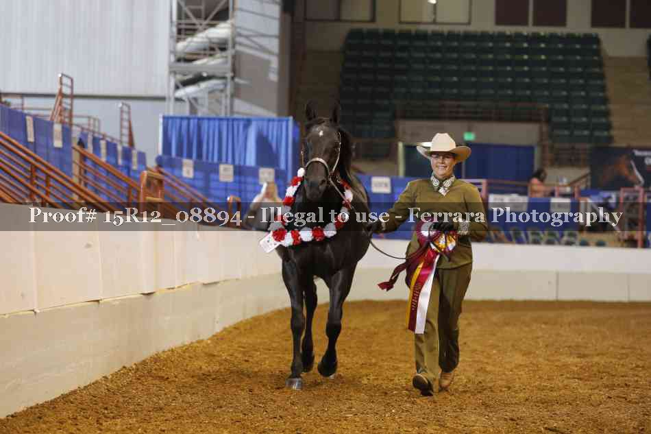 Proof 15R12_08894