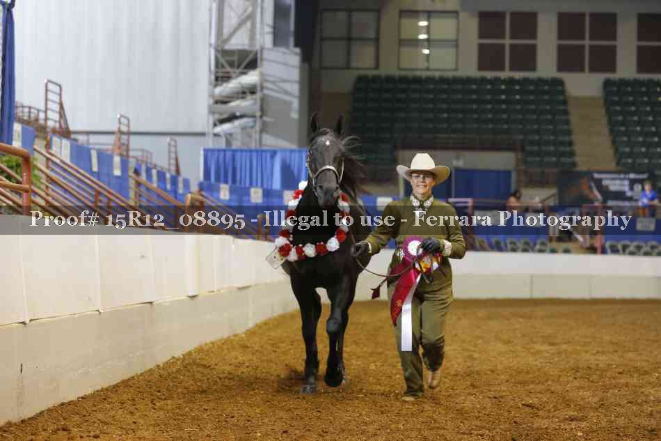 Proof 15R12_08895