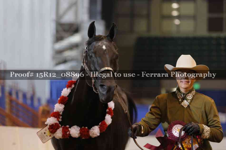 Proof 15R12_08896