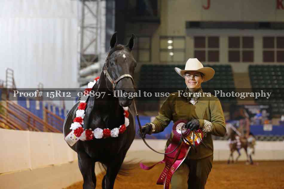 Proof 15R12_08897