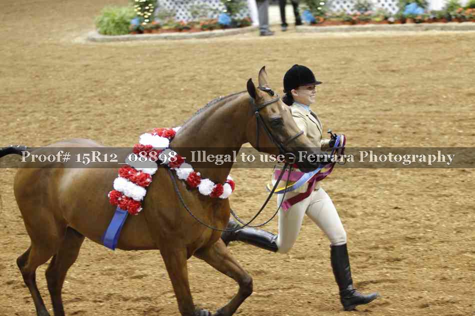 Proof 15R12_08898