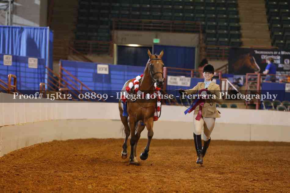 Proof 15R12_08899