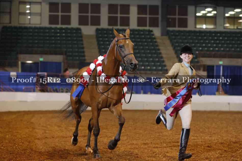 Proof 15R12_08901