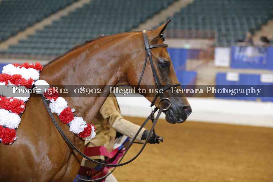 Proof 15R12_08902