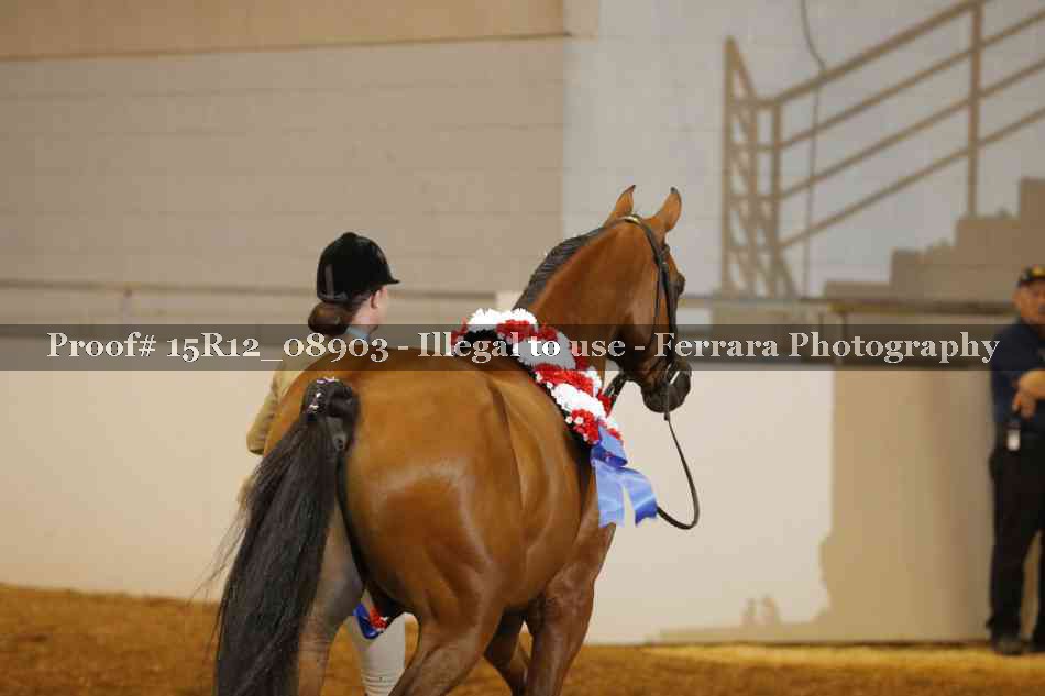 Proof 15R12_08903