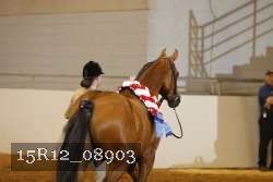 15R12_08903 proof