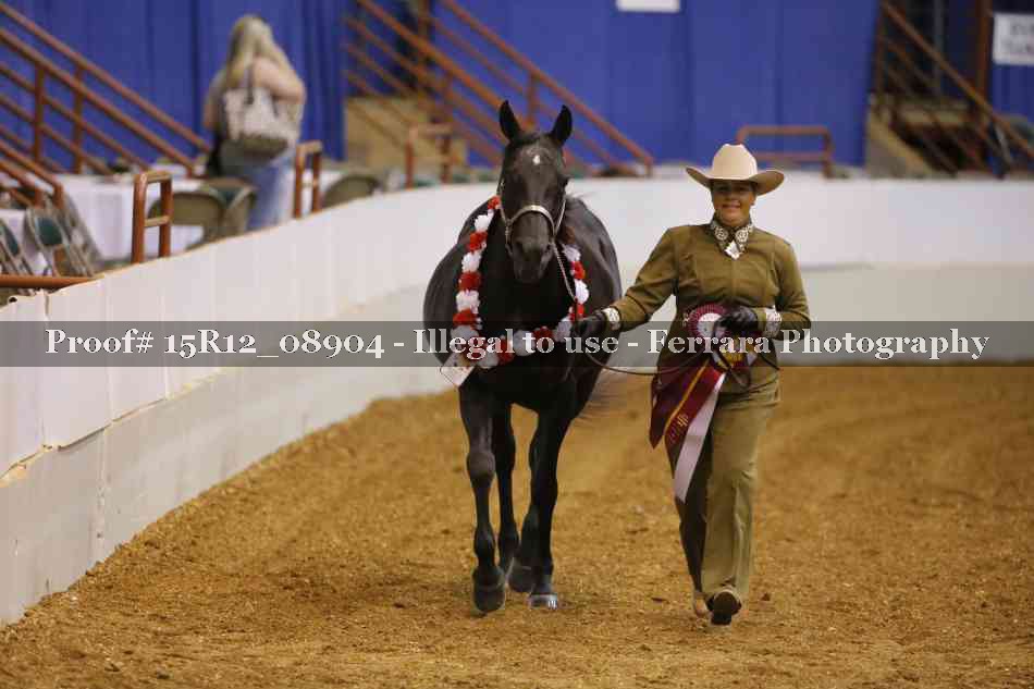 Proof 15R12_08904