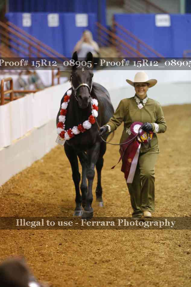 Proof 15R12_08905