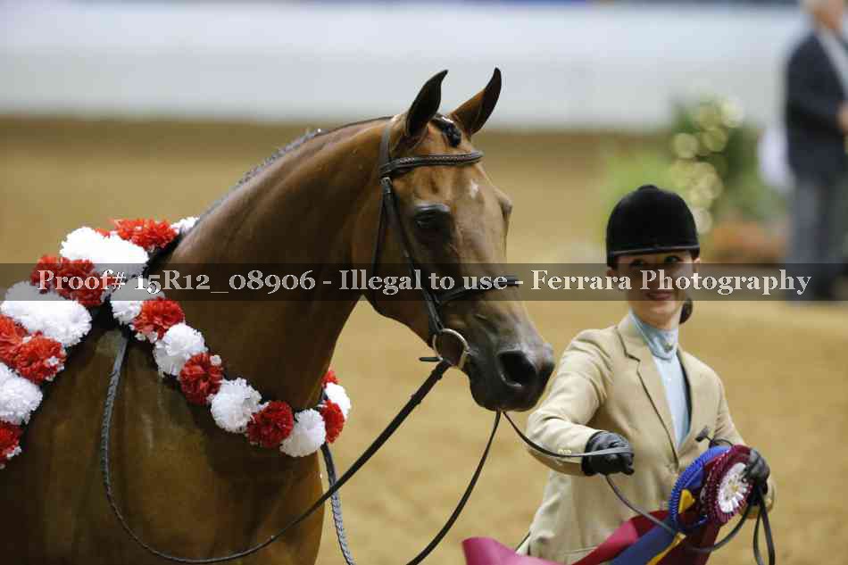 Proof 15R12_08906