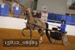 15R12_08989 proof
