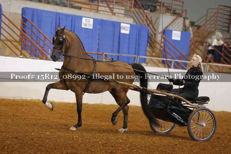 Proof 15R12_08992